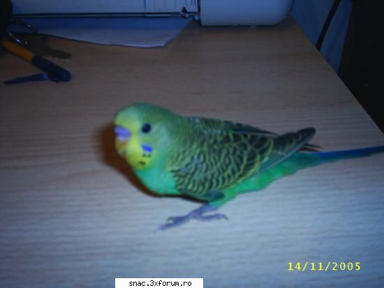 coco tot prima Admin
